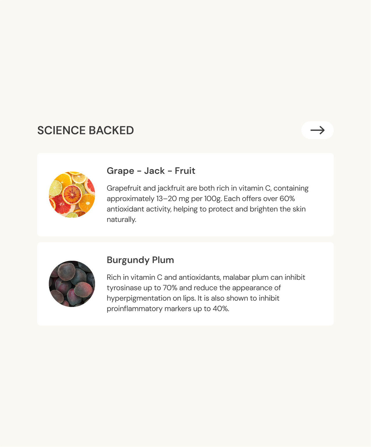 Antioxidant-Rich Lip Feed | Rosé Plum