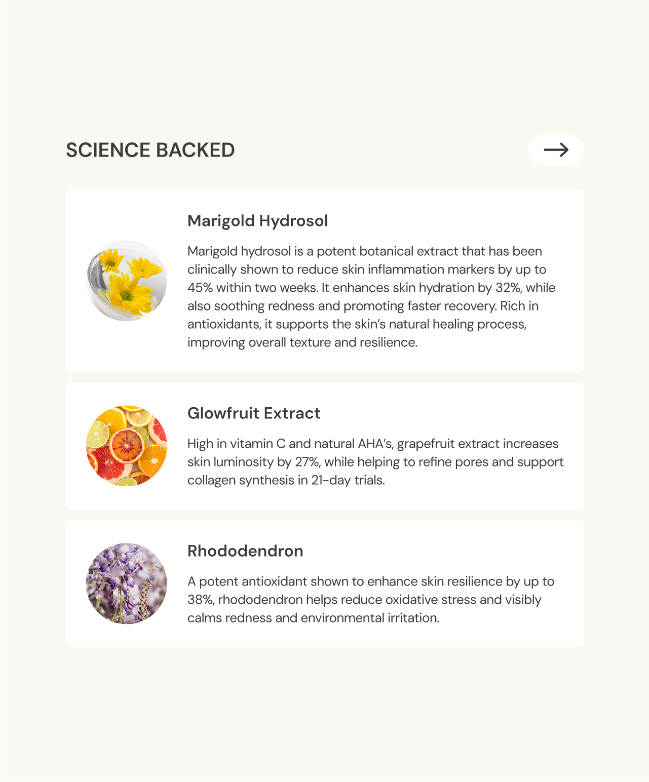 Brightening & Hydrating Mist | Floral Garden Harmony