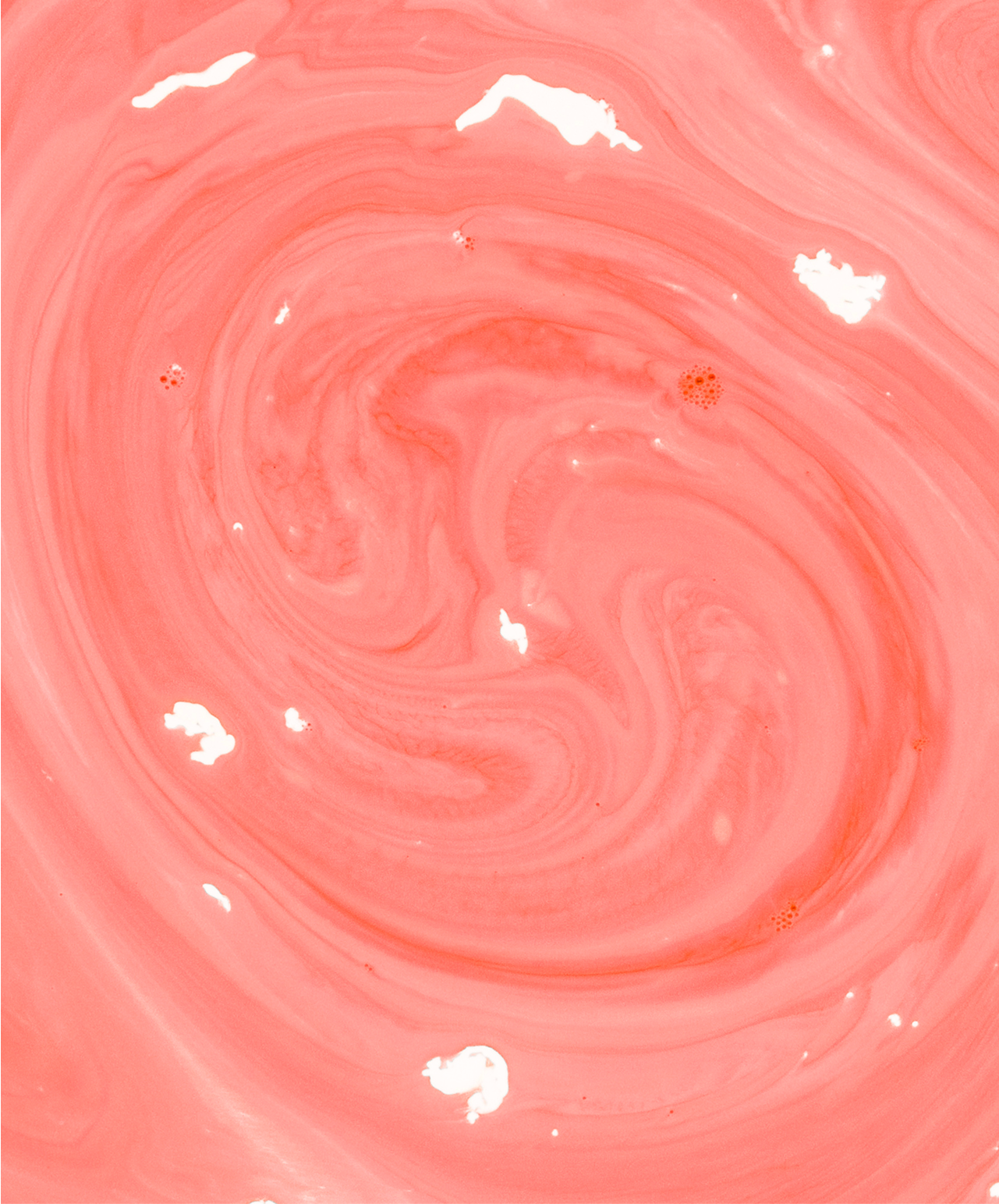 Antioxidant-Rich Lip Feed | Rosé Plum