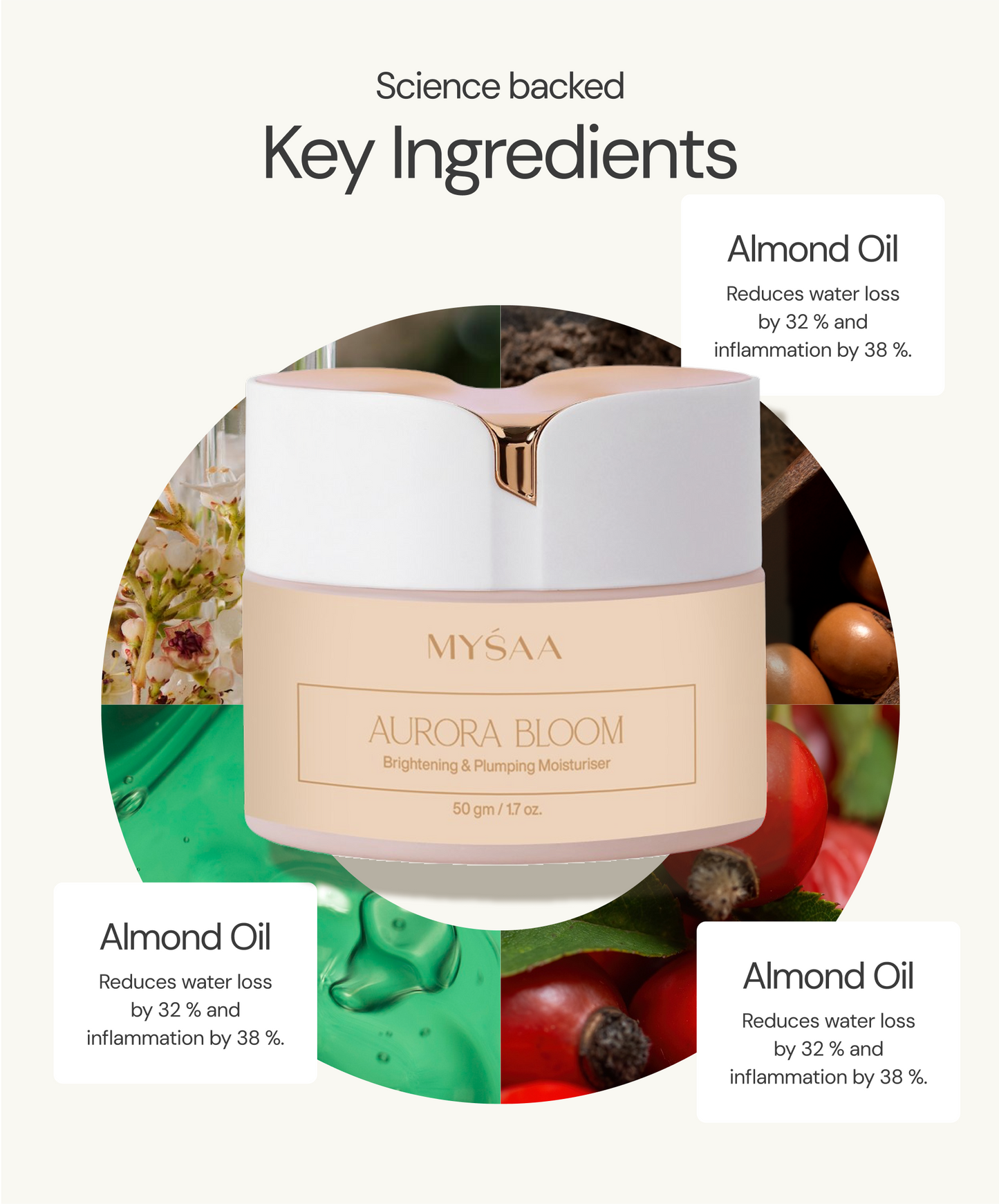 Absolute Brilliance Crème | Aurora Bloom