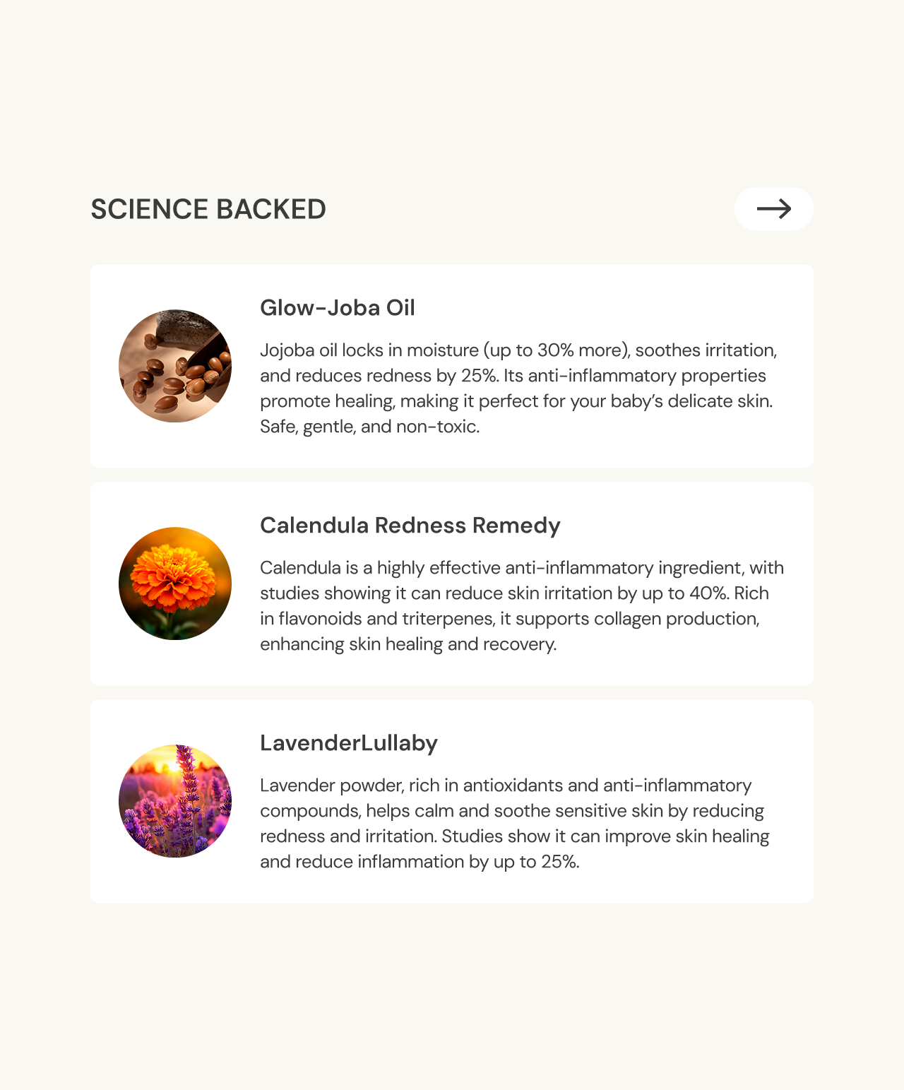 Calm Cocoon |  Gentle Sprout Hydrating Lotion