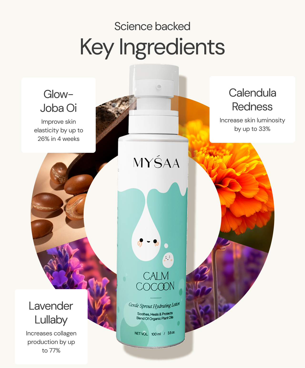 Calm Coccon |  Gentle Sprout Hydrating Lotion