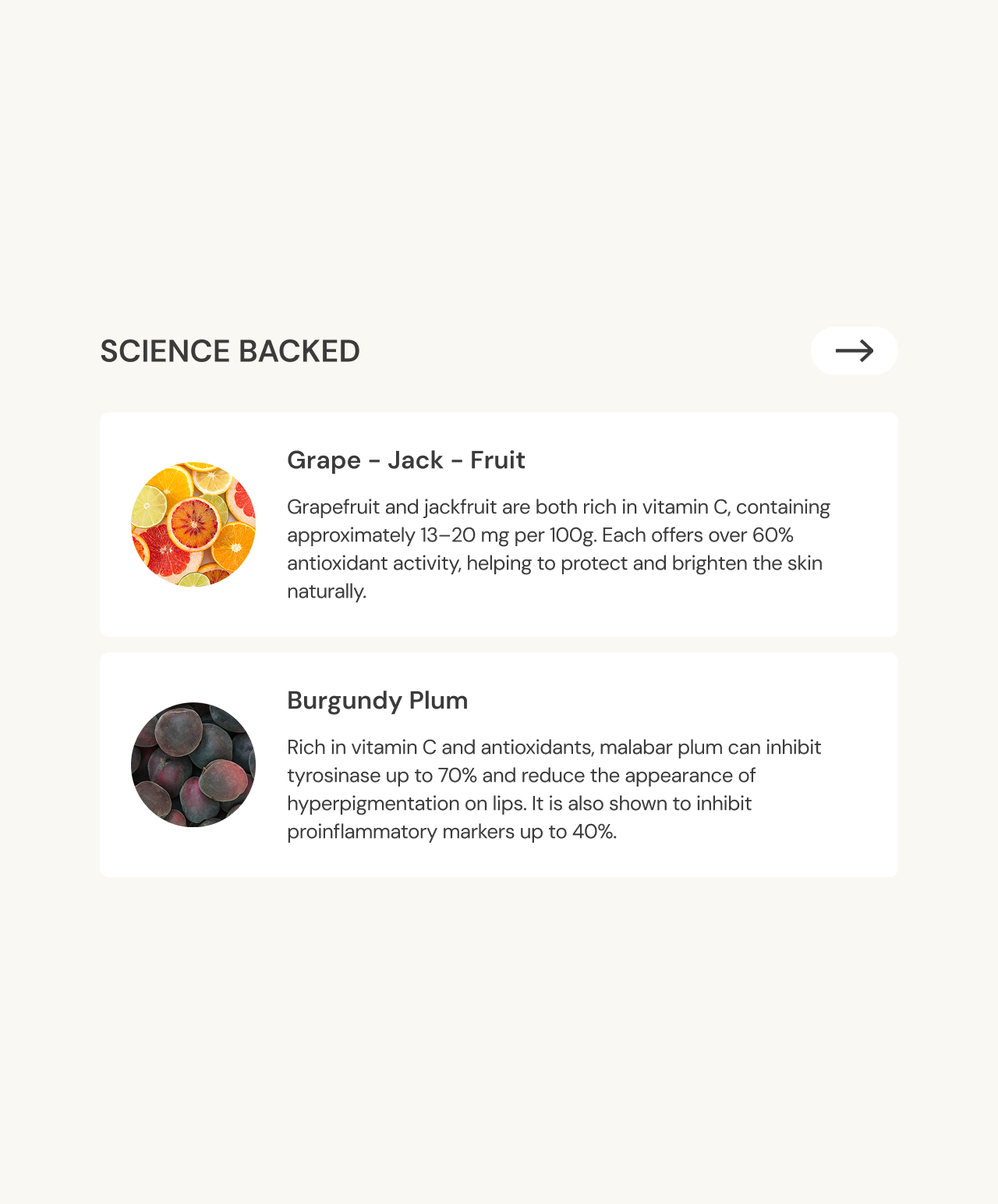 Rosé Plum | Antioxidant-Rich Moisture Lock Lip Balm