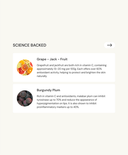 Antioxidant-Rich Lip Feed | Rosé Plum