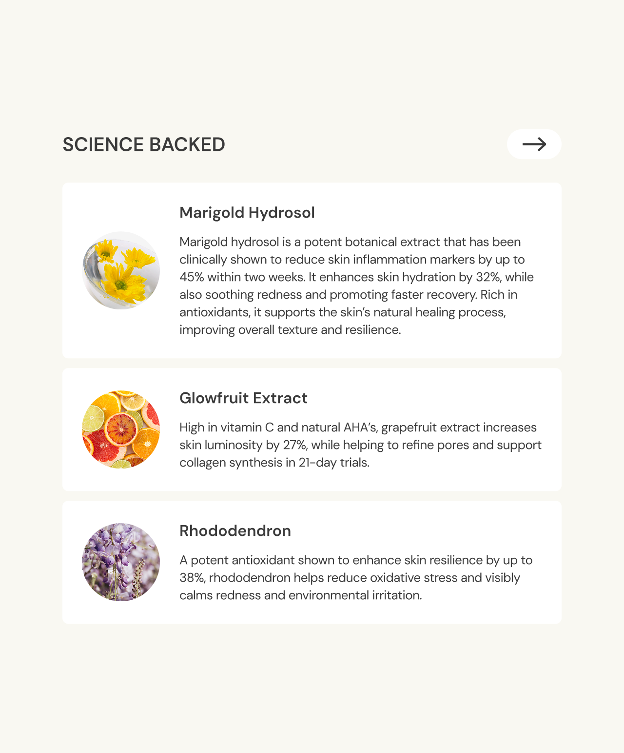 Twilight Whispers | Serene Blend Floral Mist