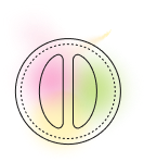 Nature’s Potent Actives