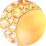 Ceramide-Supportive Lipids & Essential Fatty Acids