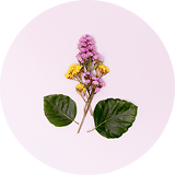 Earth Leaf Hydrosol