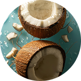 Coconut Comfort