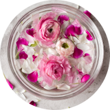RoseBiome Calm Complex™<br/>Rose Hydrosol + Lactobacillus
