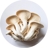 Reishi Resilience