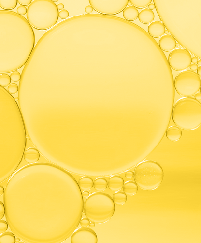Phyto-Active Hydrate | Celestial Glow