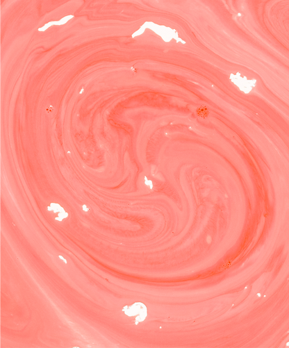 Antioxidant-Rich Lip Feed | Rosé Plum