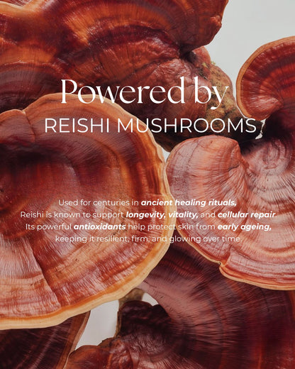 Serene Reishi | Firming & Hydrating Mousse